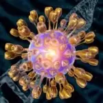 types-of-herpes