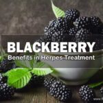 Blackberry, Benefits in Herpes Treatment