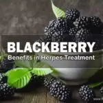 Blackberry, Benefits in Herpes Treatment
