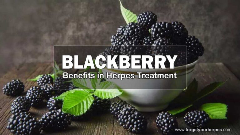 Blackberry, Benefits in Herpes Treatment