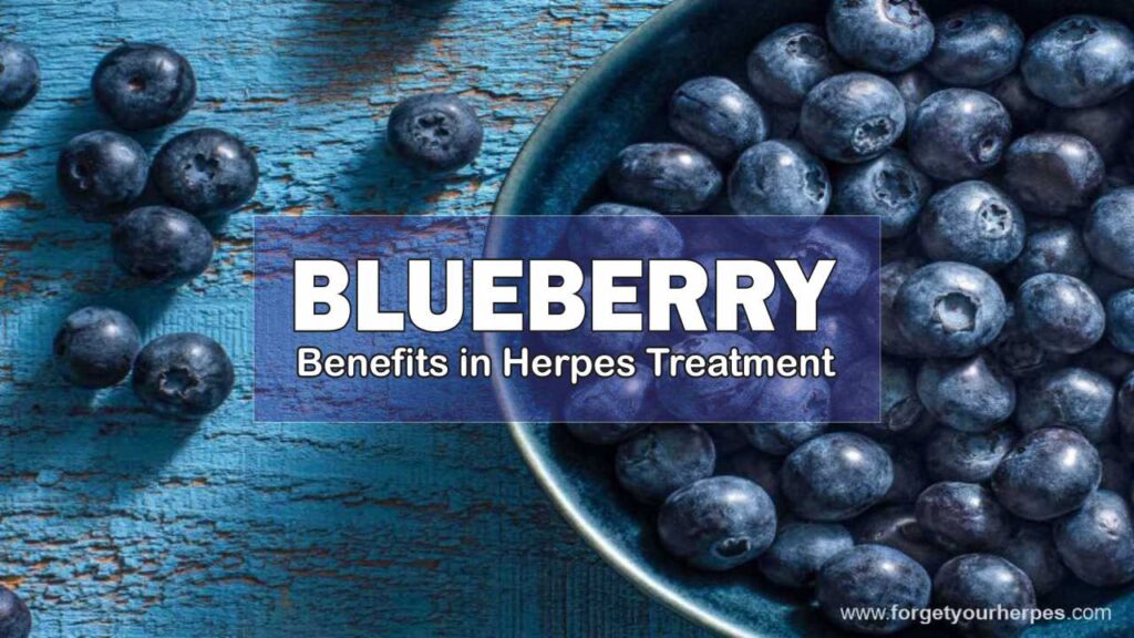 Blueberries, Benefits in Herpes Treatment