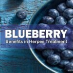 Blueberries, Benefits in Herpes Treatment