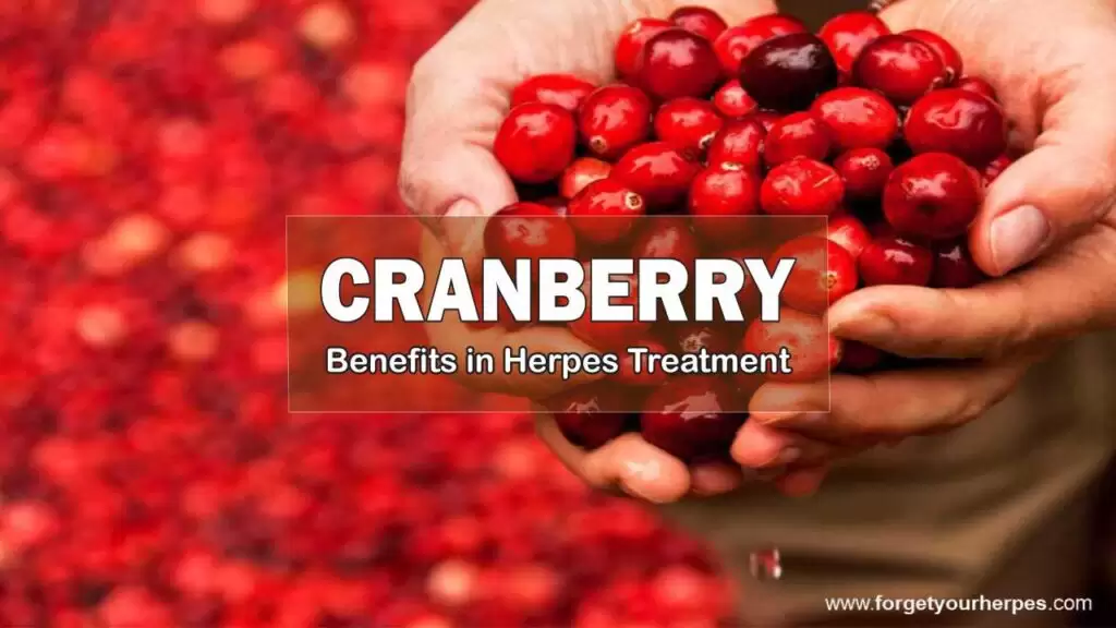 Cranberry, Benefits in Herpes Treatment