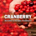 Cranberry, Benefits in Herpes Treatment