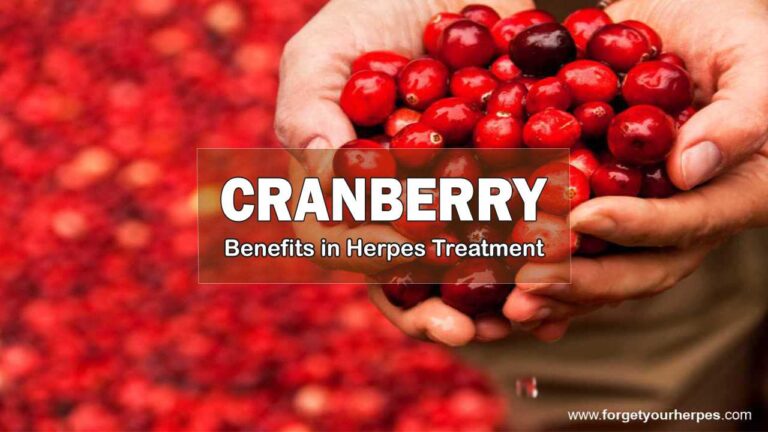 Cranberry, Benefits in Herpes Treatment