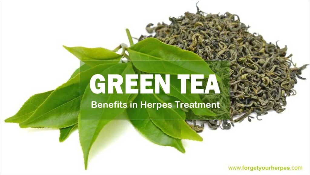 Green Tea, Benefits in Herpes Treatment