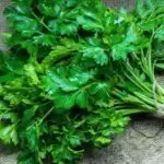 Parsley Benefits in Herpes Treatment