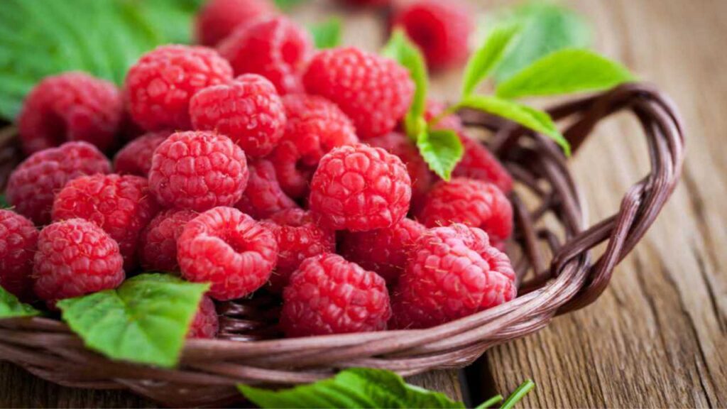 Raspberries Benefits in Herpes Treatment
