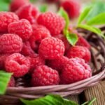 Raspberries Benefits in Herpes Treatment