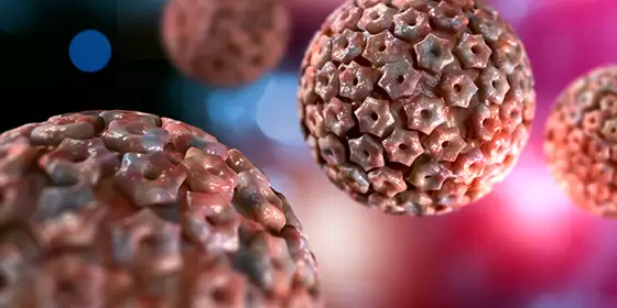 What is Viral Shedding-hsv-1