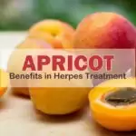 Apricot Benefits in Herpes Treatment