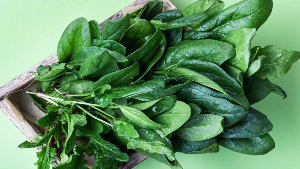 Benefits of Spinach in the Herpes Treatment