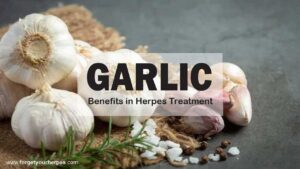 Garlic, Benefits in Herpes Treatment