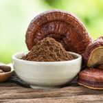 Reishi Benefits in Herpes Treatment