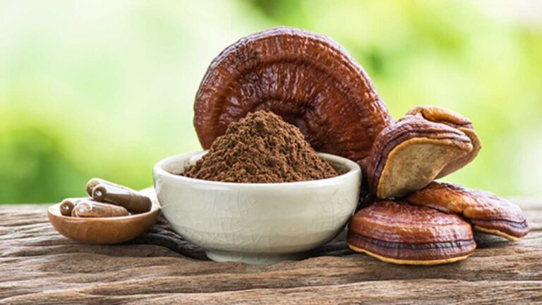 Reishi Benefits in Herpes Treatment