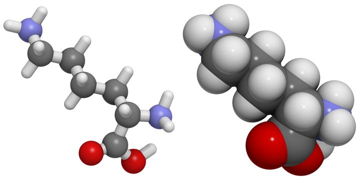 lysine-herpes-treatment