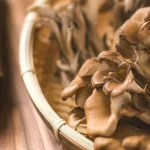 Maitake, Benefits in Herpes Treatment