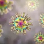 Is it true that almost everyone has herpes