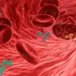 I took a blood test, and it showed herpes simplex antibodies IgG