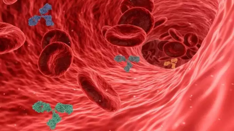 I took a blood test, and it showed herpes simplex antibodies IgG